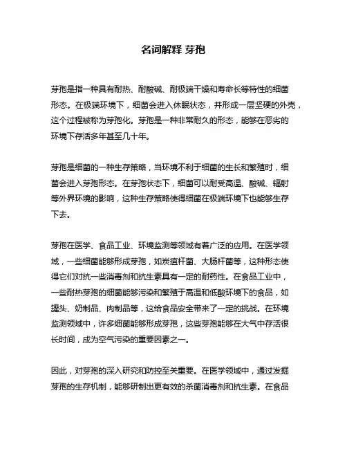 名词解释 芽孢