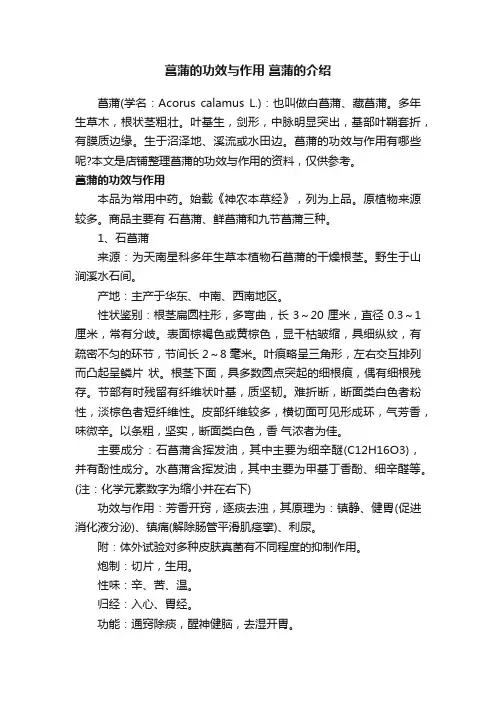 菖蒲的功效与作用菖蒲的介绍