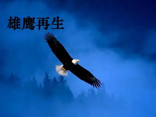 【励志教育班会】顽强拼搏  超越自我主题班会课件(共11张PPT)