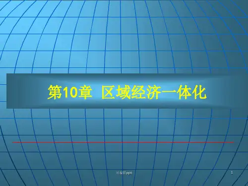 区域经济一体化(22)