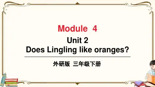 外研版三年级英语下册 Module 4 Unit 2 教学课件