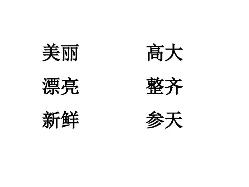 苏教版三年级语文上册练习与测试4做一片美的叶子答案