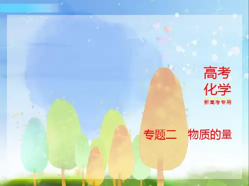 2024年新高考版化学专题二物质的量讲解部分