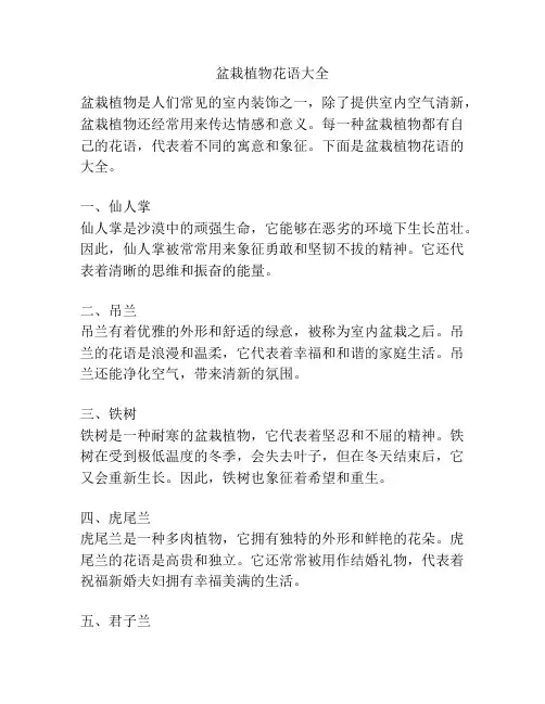 盆栽植物花语大全
