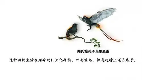 人教版生物八年级下第七单元第三章第二节《生物进化的历程》【课件】(共20张PPT)
