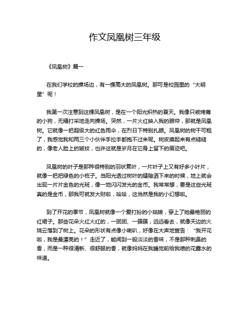 作文凤凰树三年级
