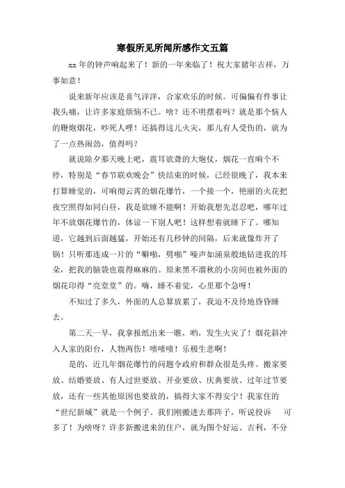寒假所见所闻所感作文五篇