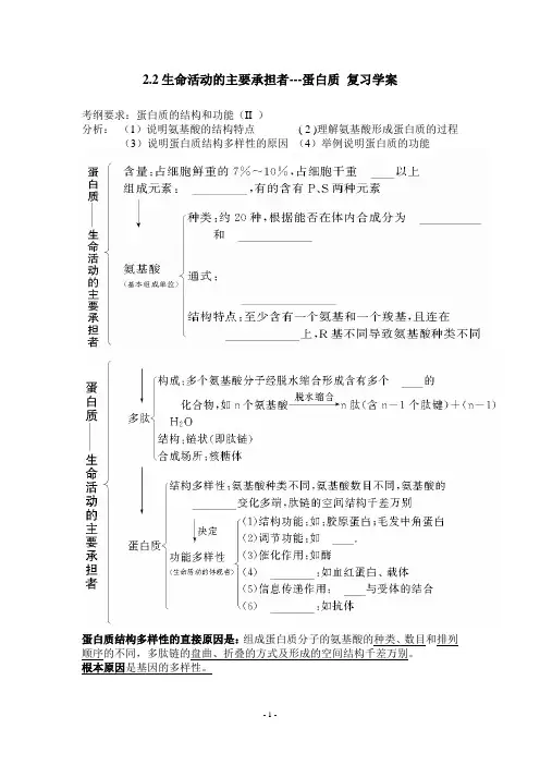 蛋白质复习学案