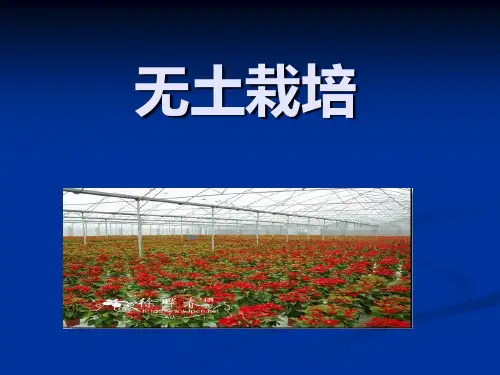 无土栽培精品PPT课件