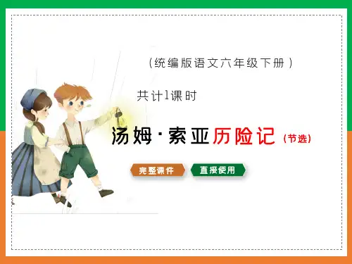 六年级下册《汤姆索亚历险记(节选)》教学课件(共33张PPT)