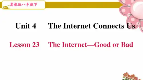 冀教版八年级英语下册unit 4第四单元Lesson 23 The Internet—Good or