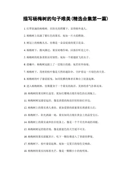 描写杨梅树的句子唯美(精选合集两篇)