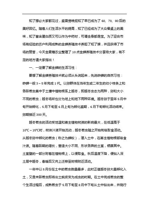 金蝉养殖价值分析