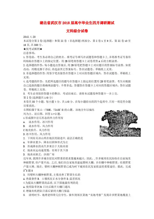 最新-湖北省武汉市2018届高三文综四月适应性调研测试试题 精品