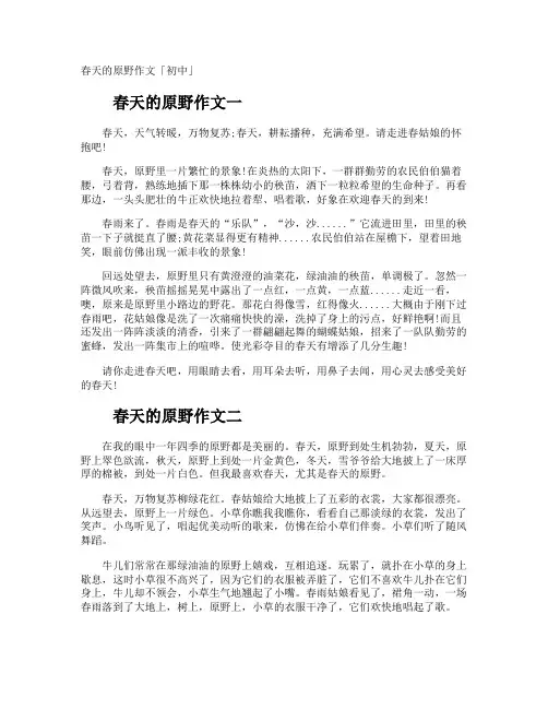 春天的原野作文「初中」