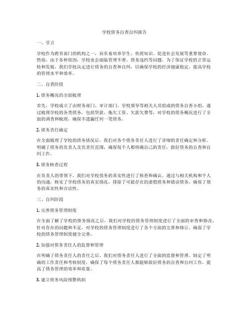 学校债务自查自纠报告