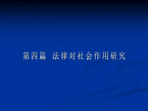 法社会学-21世纪 (17)[17页]