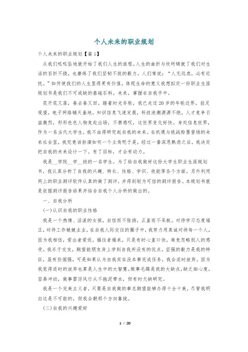 个人未来的职业规划