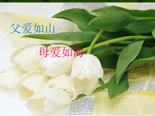 父爱如山  母爱如海