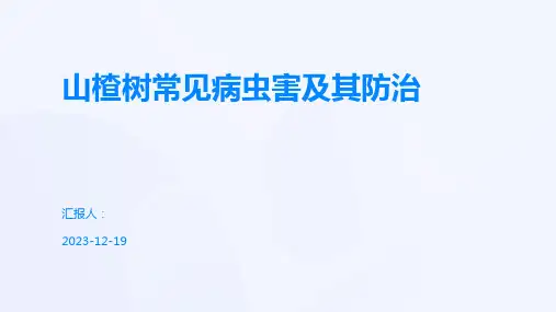 山楂树常见病虫害及其防治