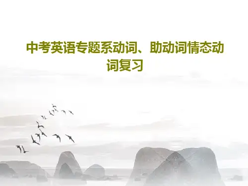 中考英语专题系动词、助动词情态动词复习29页PPT