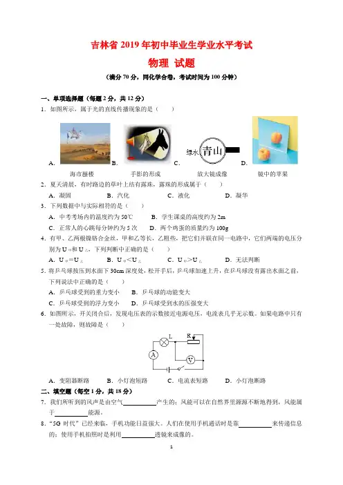 2019年吉林省中考物理试题及参考答案(word解析版)