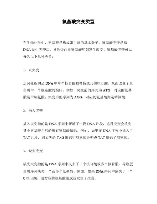 氨基酸突变类型