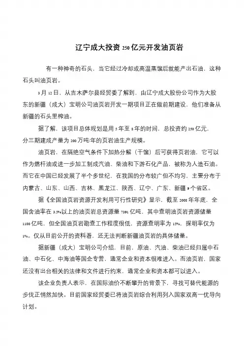 辽宁成大投资250亿元开发油页岩