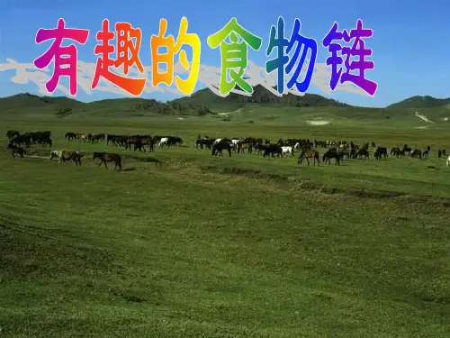六年级下册科学课件-4.3有趣的食物链｜苏教版(共13张PPT)2