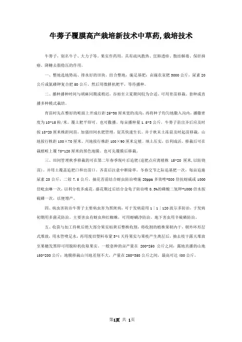 牛蒡子覆膜高产栽培新技术中草药,栽培技术