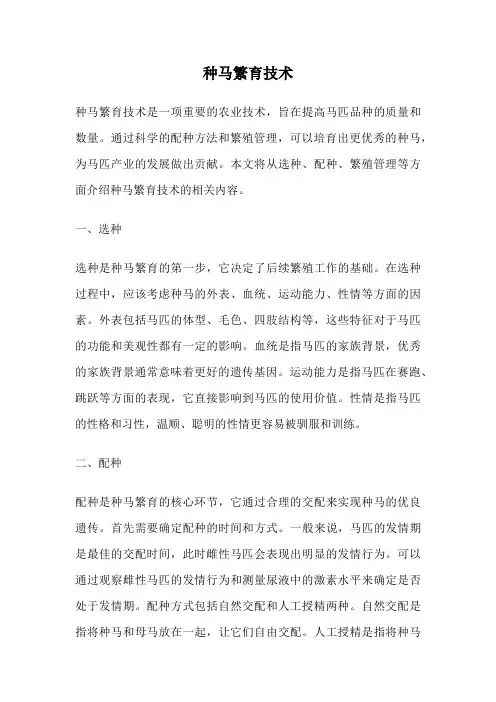种马繁育技术