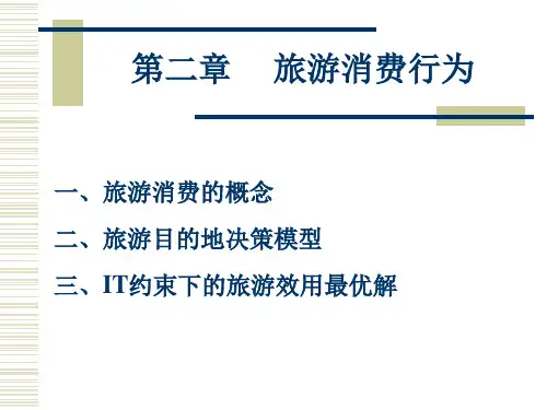 旅游消费行为培训课件PPT(25张)