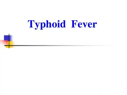 伤寒Typoid Fever PPT课件