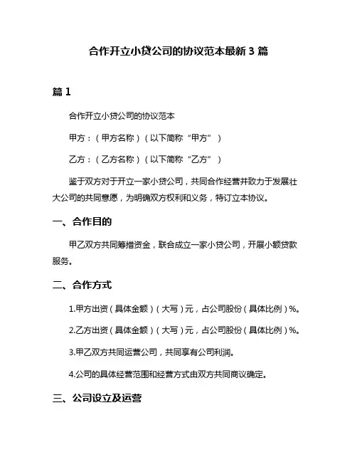 合作开立小贷公司的协议范本最新3篇