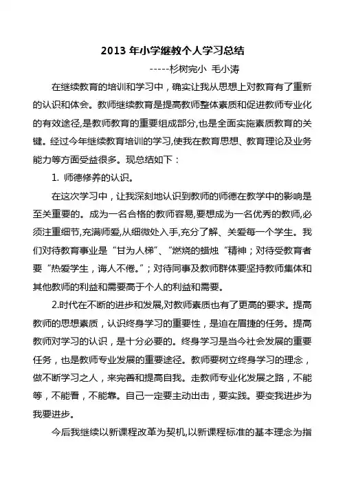 2013小学教师继续教育个人学习总结