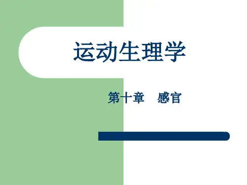 运动生理学——第十章 感官