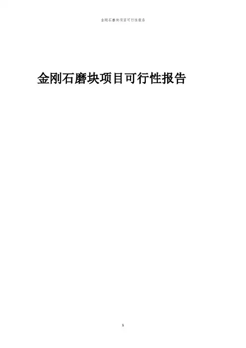 金刚石磨块项目可行性报告
