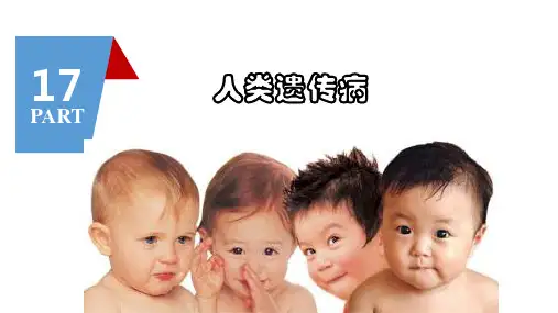 高三生物一轮复习课件第17讲  人类遗传病