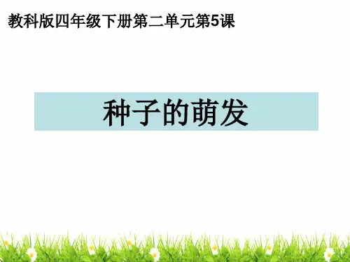 最新教科版科学四年级下册《种子的萌发》精品课件