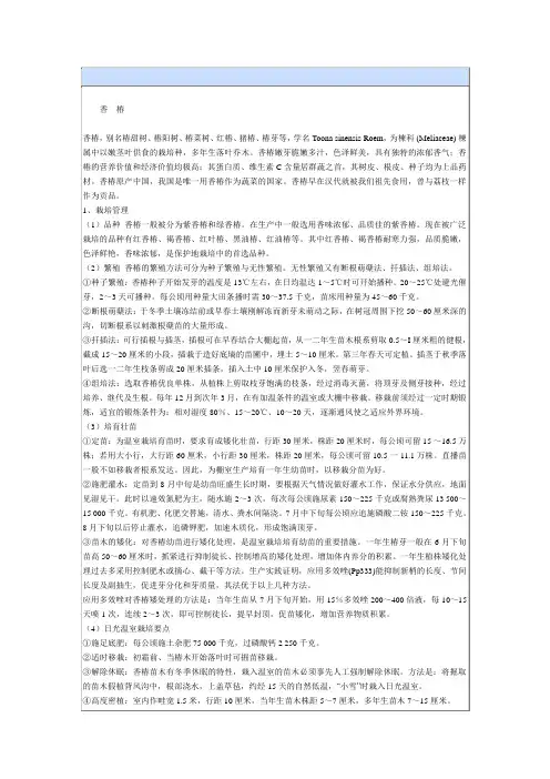 香椿