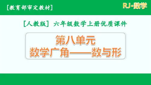 2020秋新人教版数学六年级上册第八单元课件全套(含练习课)