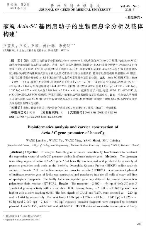 家蝇Actin-5 C基因启动子的生物信息学分析及载体构建