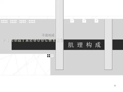 平面构成肌理构成(课堂PPT)