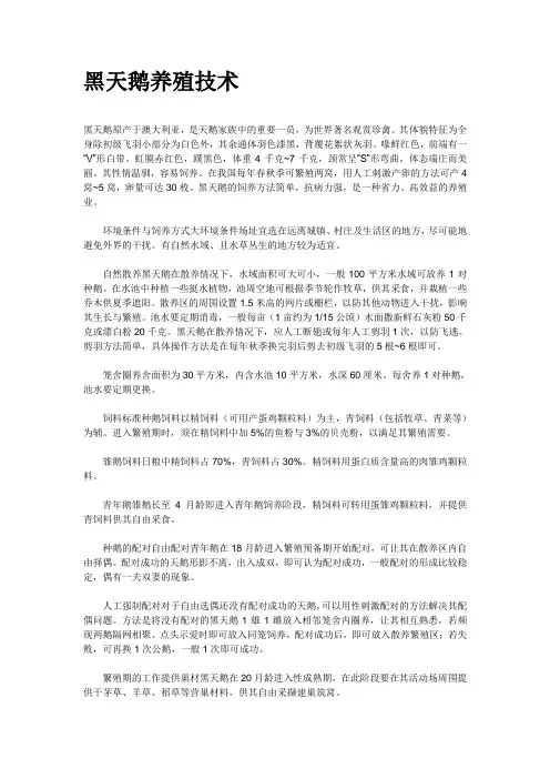 黑天鹅养殖技术