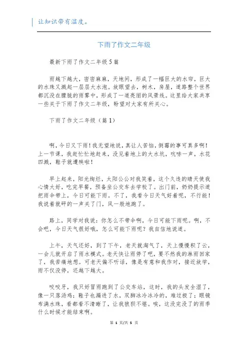 下雨了作文二年级新