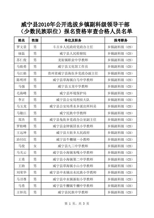 报考少数名族统计表