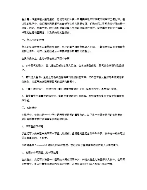 实验鱼儿的呼吸——《鱼儿你好》教案