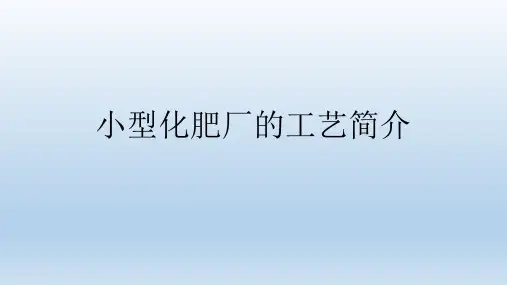 小型合成氨厂的基本工艺