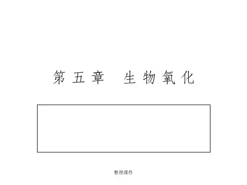 《生物化学教学》第五章  生物氧化