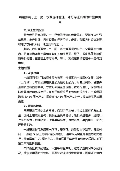 种植梨树，土、肥、水要这样管理，才可保证后期的产量和质量